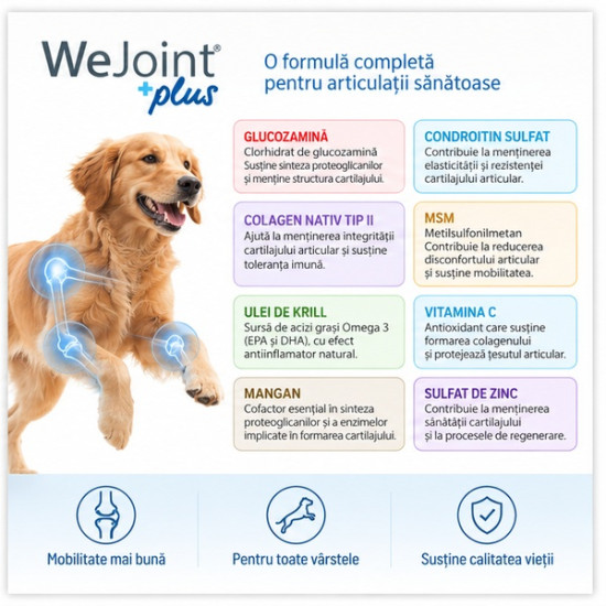 WeJoint Plus Large Breeds – Supliment Articular pentru Câini de Talie Mare, 30 Tablete – WePharm